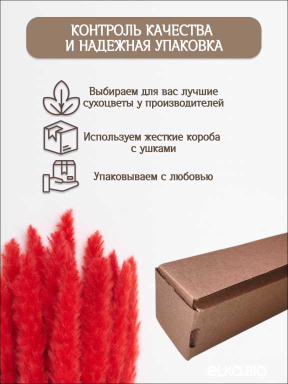 Пампас мини красный 45 шт. Высший сорт М267