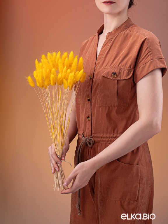 Лагурус тёмно-жёлтый высший сорт - 60 шт