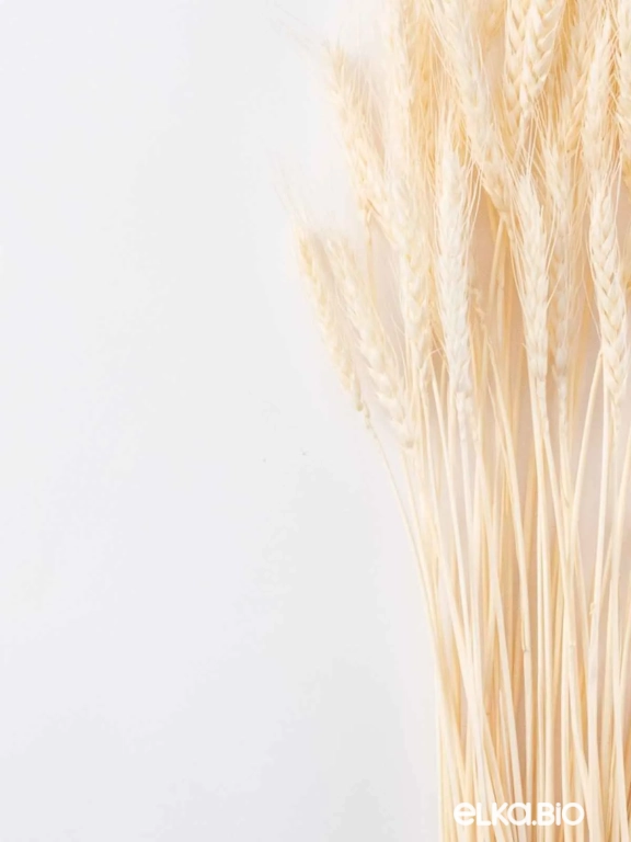 Пшеница белая (40 шт) М099