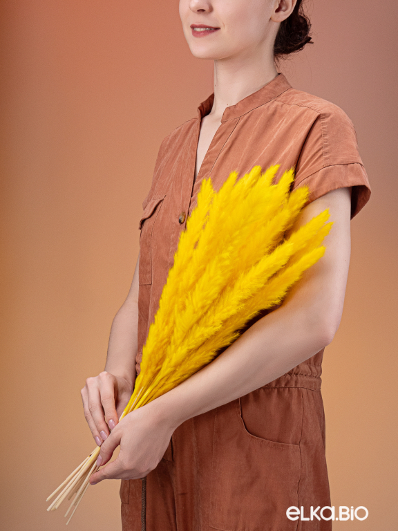 Трава сухоцвет пампас мини 15 шт. ярко-жёлтый высший сорт