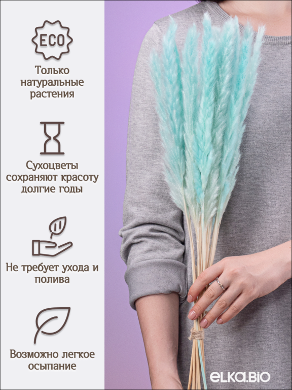 Пампас мини светло-бирюзовый 15 шт. Высший сорт. Высота 40-50 см. М034