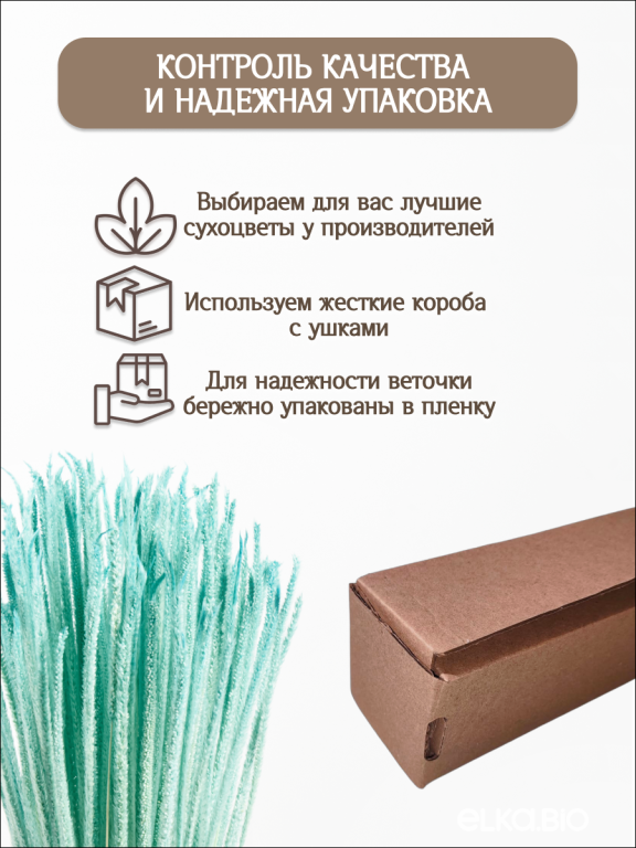 Алопекурус (тимофеевка) бирюзовый 150 шт. Высший сорт - до 50 см  М453