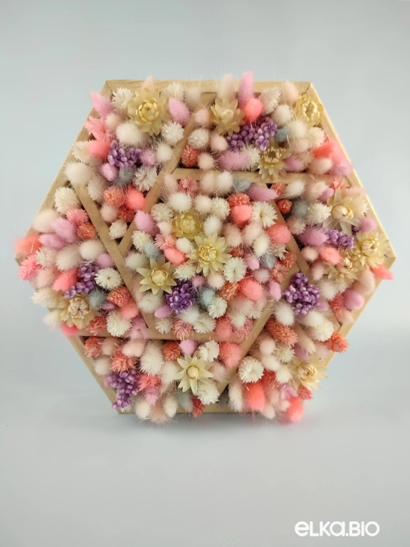 Композиция из лагуруса и фаляриса А130-B103