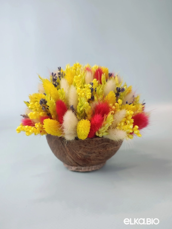 Яркая композиция из сухоцветов в скорлупе кокоса Б99-B113