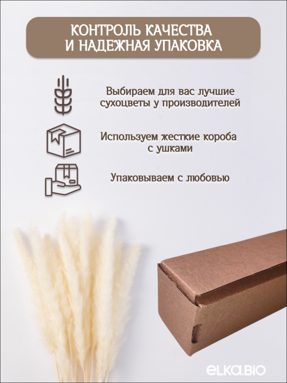 Пампас мини белый 15 шт. Высший сорт. Высота 40-50 см. М027