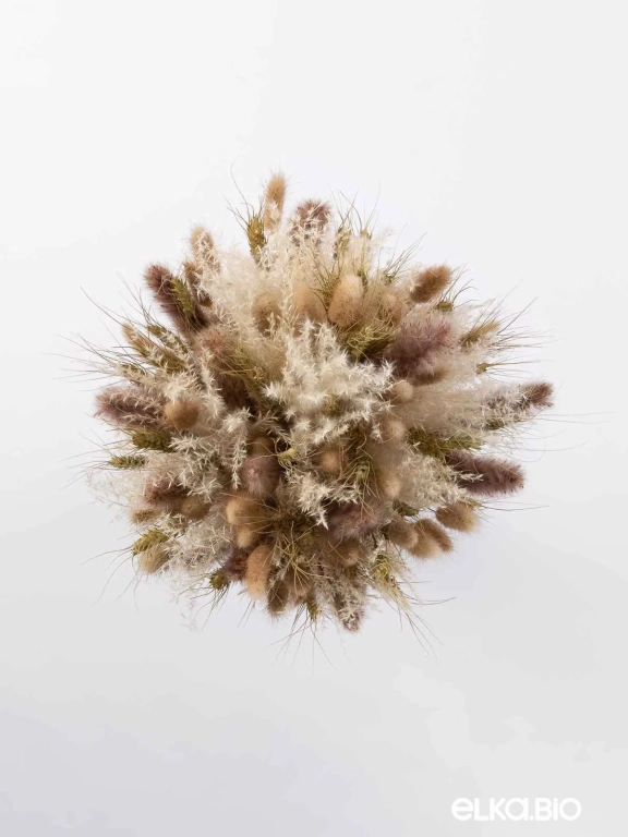 Натуральные сухоцветы для декора. Набор М060