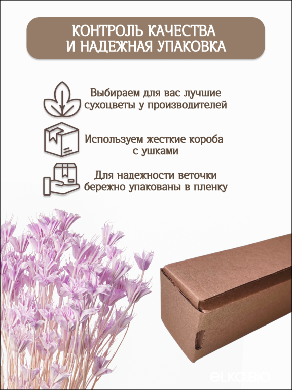 Нигелла светло - сиреневая 50г. Высший сорт. Высота 40-55 см. М407