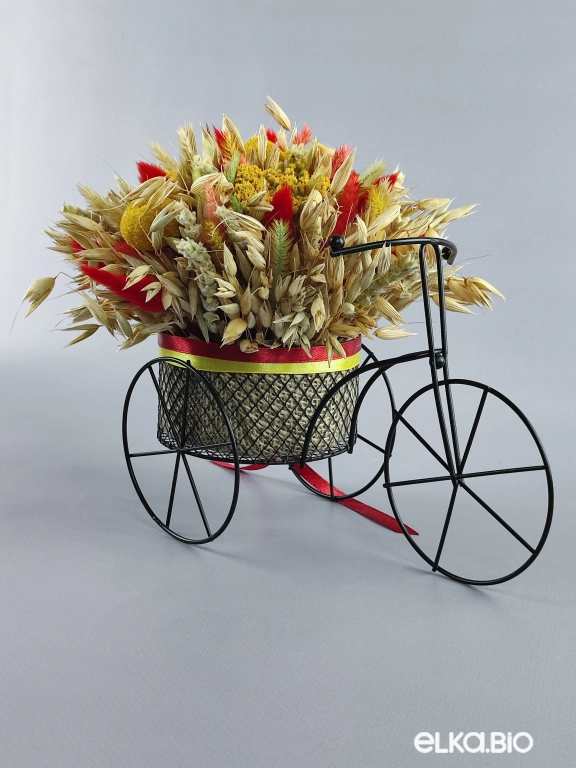 Велосипед с колосками овса и лагурусом Т134-B101