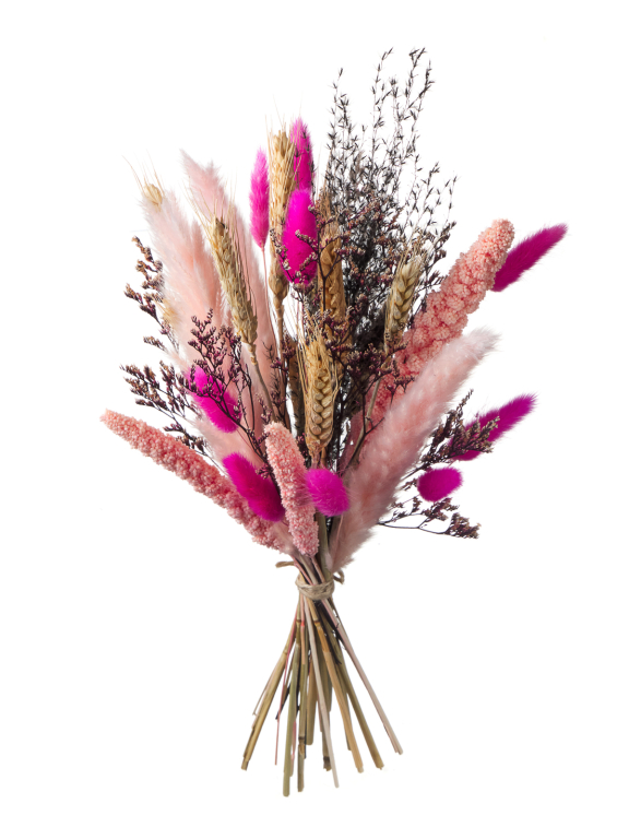 Сухоцветы для декора в наборе М365