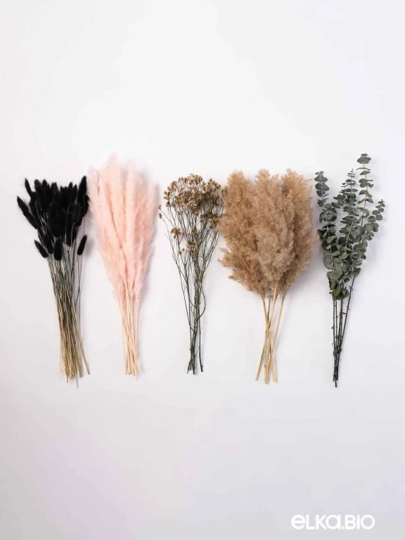 Сухоцветы для декора микс. Набор М087