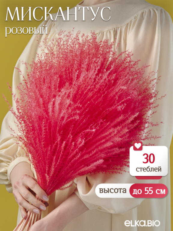 Мискантус розовый 30 шт. Высший сорт М042