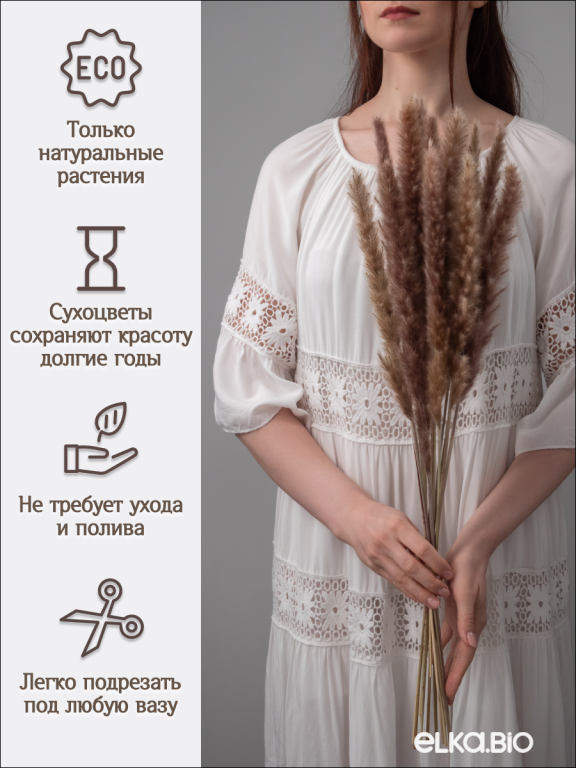 Пампас мини натуральный 15 шт. Высший сорт. Высота 40-50 см. М031