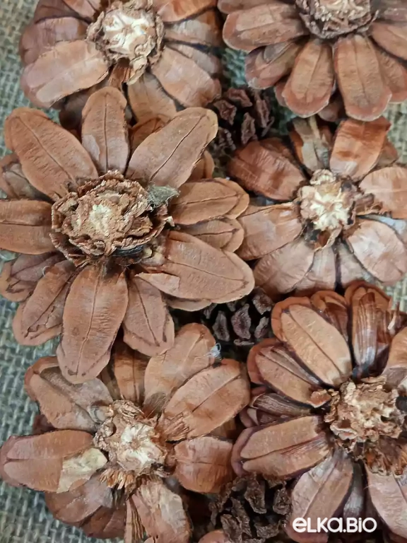 Венок декоративный из шишек Цветочная роса П16-В15