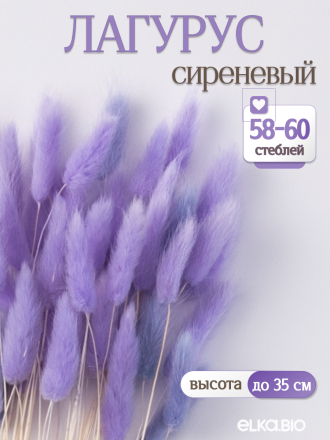 Лагурус сиреневый 60 шт. Высший сорт. Высота 25-35 см М237