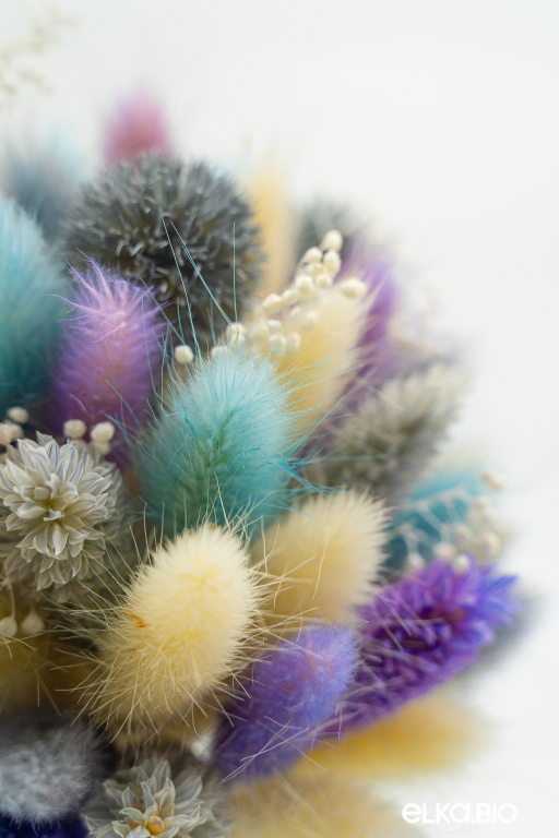 Маленький букет из лагуруса, гипсофилы и фаляриса Т178-B106