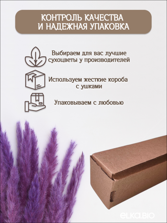 Пампас мини фиолетовый 45 шт. Высший сорт М272