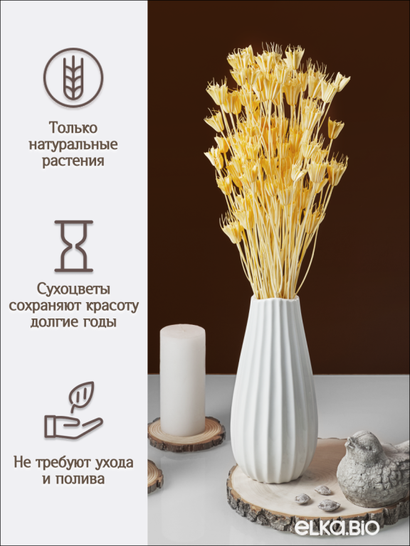 Нигелла светло -  оранжевая 50г. Высший сорт. Высота 40-55 см. М406