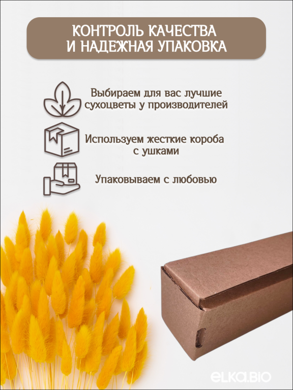 Лагурус тёмно-жёлтый 60 шт. Высший сорт. Высота 25-35 см М238