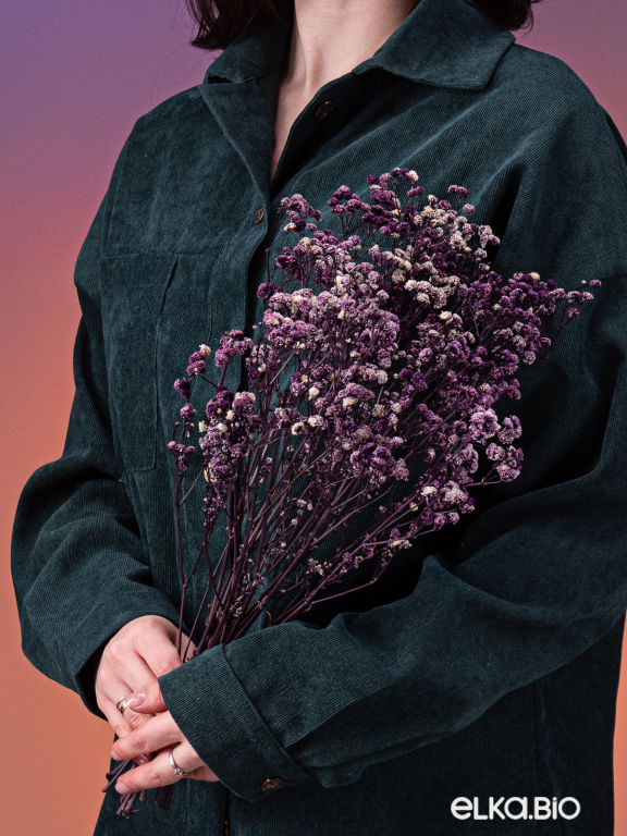 Гипсофила стабилизированная фиолетовая 50 гр. высший сорт М180