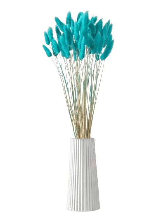 Лагурус ярко-бирюзовый первый сорт - 300 шт