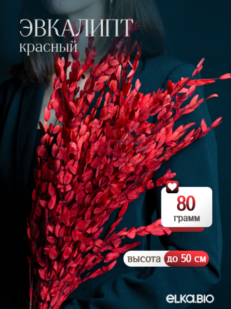 Эвкалипт Парвифолия красный 80г Высший сорт М675