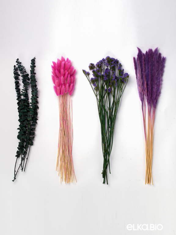 Набор ярких сухоцветов для дома М081 Набор ярких сухоцветов для дома М081