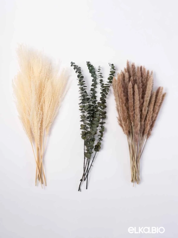 Эвкалипт, пампас мини и мискантус в наборе для декора. Набор М098
