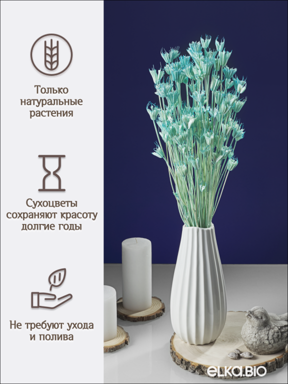 Нигелла голубая 50г. Высший сорт. Высота 40-55 см. М410