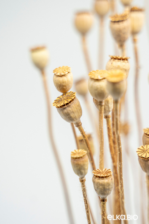 Мак натуральный (40г) М668