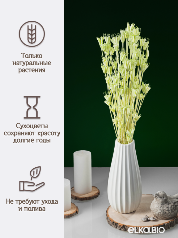 Нигелла ярко - салатовая 50г. Высший сорт. Высота 40-55 см. М729