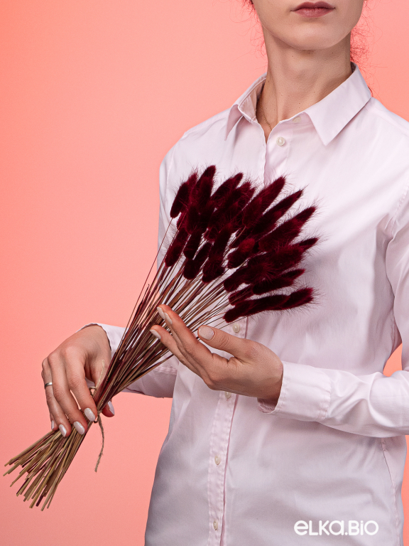 Лагурус бордовый марсала первый сорт - 300 шт