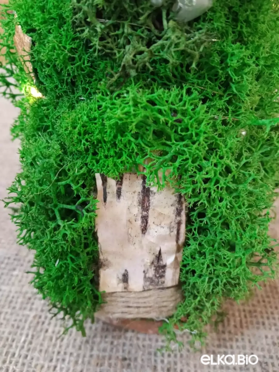 Настольная декоративная елка из мха с подсветкой Эльф Б29-В52
