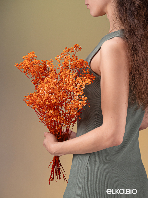 Гипсофила стабилизированная оранжевая 550 гр. первый сорт М5163