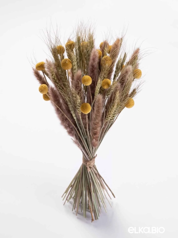 Натуральные сухоцветы для декора. Набор М066