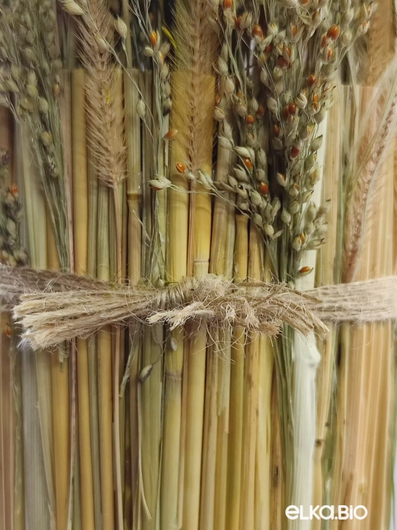 Настольная композиция из сухоцветов Б50-B101 Настольная композиция из сухоцветов Б50-B101