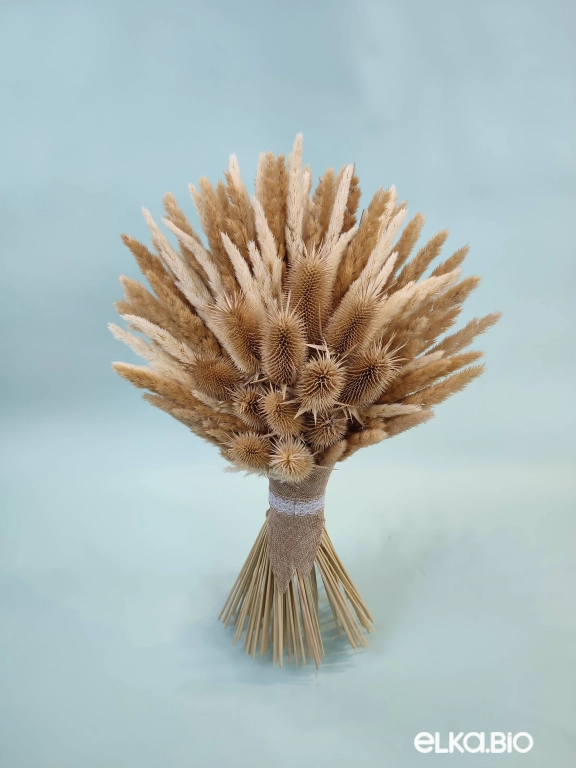 Бежевый букет из вейника и ворсянки Т215-B111