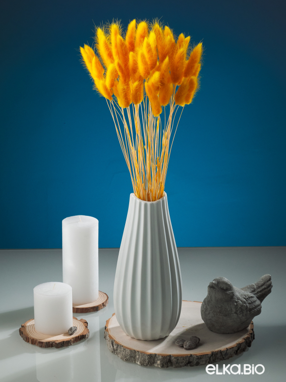 Лагурус тёмно-жёлтый первый сорт - 300 шт