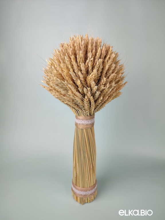 Декоративный сноп пшеницы Б91-B110