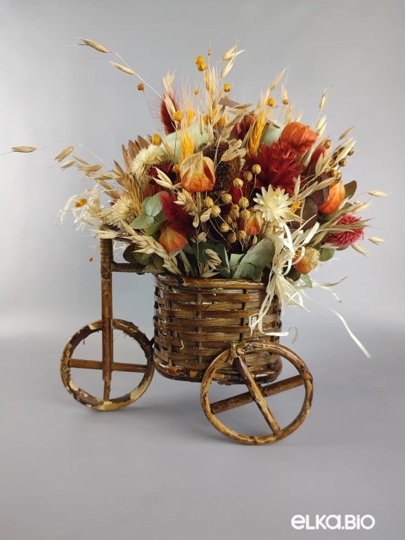 Сухоцветы в корзине на велосипеде Б38-B100