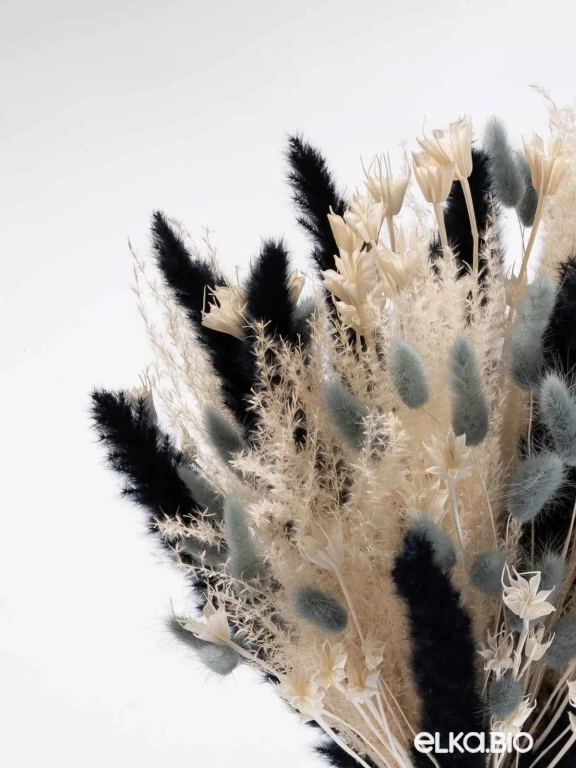 Сухоцветы для букета. Набор М074