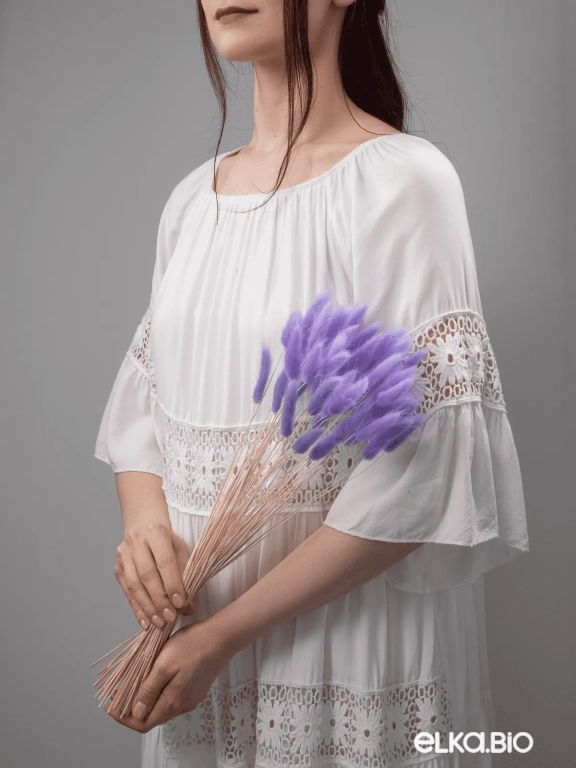 Лагурус сиреневый высший сорт - 60 шт