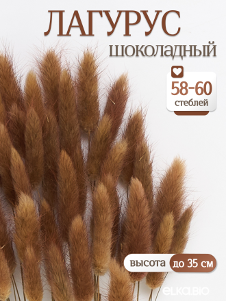 Лагурус шоколадный 60 шт. Высший сорт. Высота 25-35 см М243