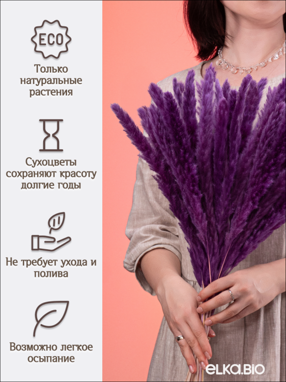Пампас мини фиолетовый 45 шт. Высший сорт М272