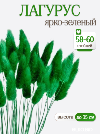 Лагурус ярко-зеленый 60 шт. Высший сорт. Высота 25-35 см М248