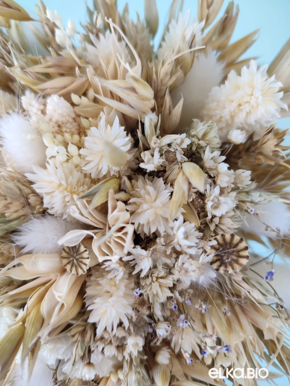 Букет сухоцветов овса и фаляриса Т248-B113