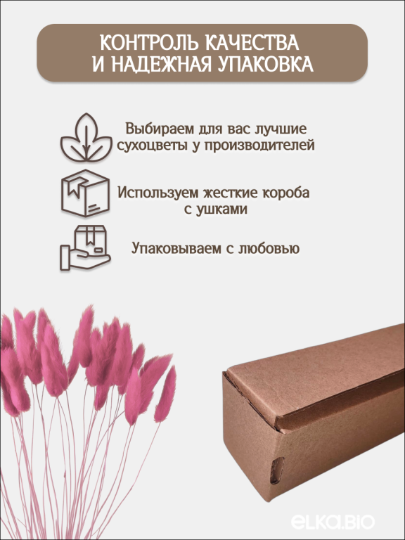 Лагурус розово-сиреневый 30 шт. Высший сорт. Высота 25-35 см М479
