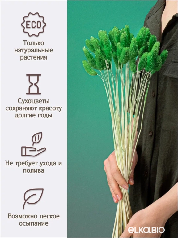 Фалярис зелёный (40шт) М107