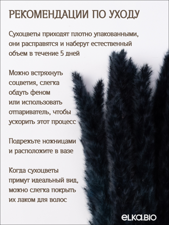 Пампас мини черный 45 шт. Высший сорт М274