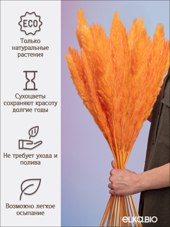 Пампас мини оранжевый 45 шт. Высший сорт М268