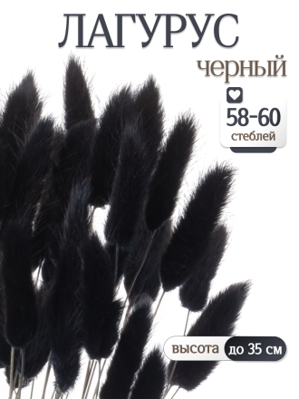 Лагурус чёрный 60 шт. Высший сорт. Высота 25-35 см М242
